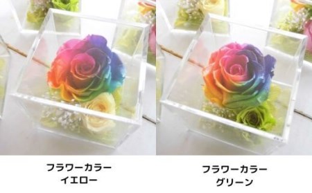 メッセージ刻印 プリザーブドフラワー レインボーローズ クリアボックス 5色 / なないろ / 山梨県 中央市
