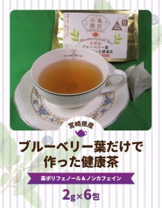 宮崎県産 ブルーベリー葉 だけで作った 健康茶 ポリフェノール N048-YZA095