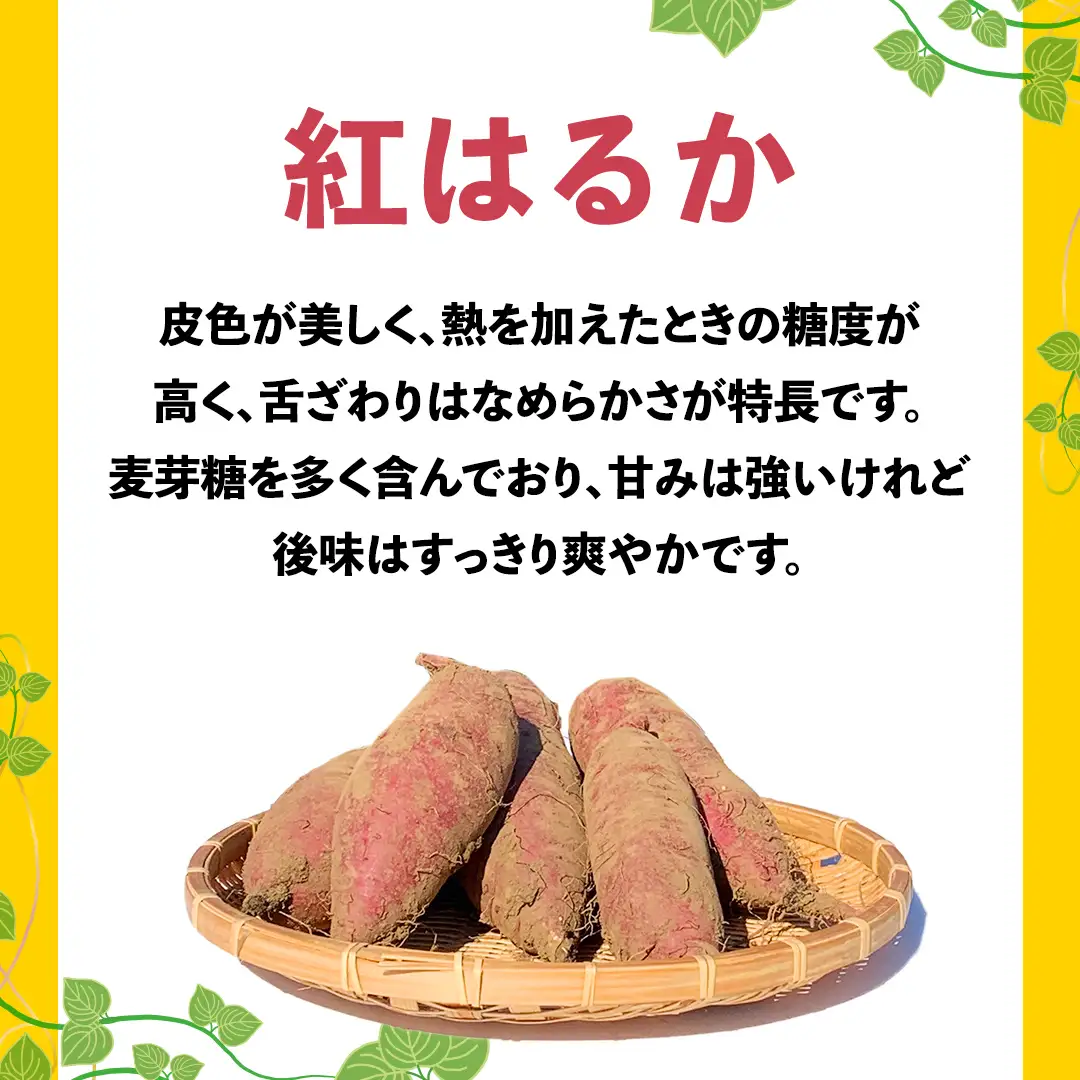 さつまいも 紅はるか サツマイモ 約10kg 訳あり