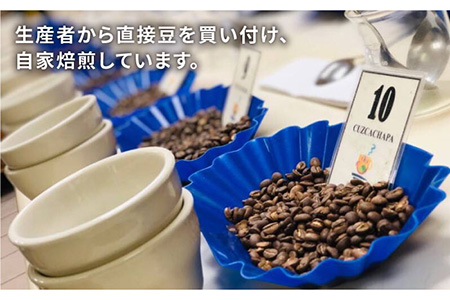 中深煎り コーヒー 豆 タナカフェブレンド 250g × 2袋（ 豆 ・ 粉 選べます ） 《糸島》 【COFFEE UNIDOS】 [AQF011]