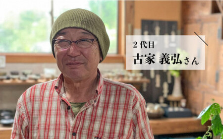 しのぎ 面取 フリー カップ 《糸島》【高麗窯】 【いとしまごころ】[AOZ004]