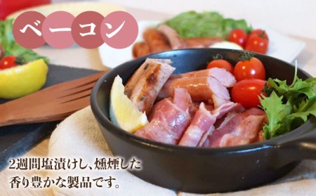 【お中元対象】＼DLG金賞・銀賞受賞！／糸島の陽光 ハム 5種 セット 4 《糸島》 【志摩スモークハウス】ハム ソーセージ 食べ比べ[AOA004]