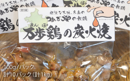 万歩鶏の炭火焼 満喫 セット《糸島》【緑の農園】[AGA018]
