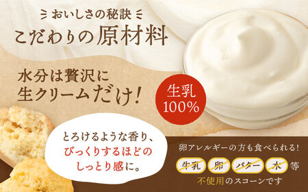 【お中元対象】【 贈答用 】 定番 スコーン 6種 12個 セット 《糸島》【キナフク】焼き菓子 焼菓子 洋菓子 スイーツ パン [AFA006]