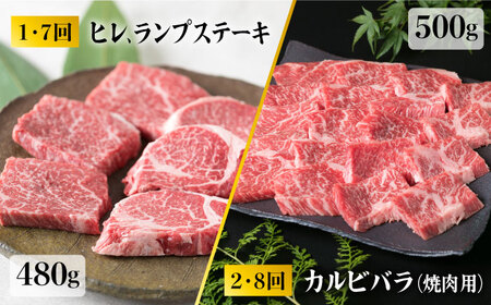 【全12回定期便】 糸島 黒毛和牛 食べ比べ セット 2人前 約 5.7 kg【月1回】 糸島市/糸島ミートデリ工房 [ACA111] 定期便 肉 ランプ シャトーブリアン サーロイン