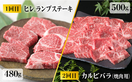 【全6回定期便】 糸島 黒毛和牛 食べ比べ セット 2人前 約2.8kg 糸島市/糸島ミートデリ工房 [ACA110] 定期便 肉 ランプ シャトーブリアン