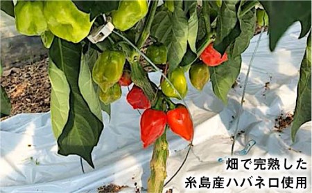 浅漬けの素 ハバネロ しょうゆ 200ml《糸島》【シェフのごはんやさん四季彩】【いとしまごころ】[ACC006]