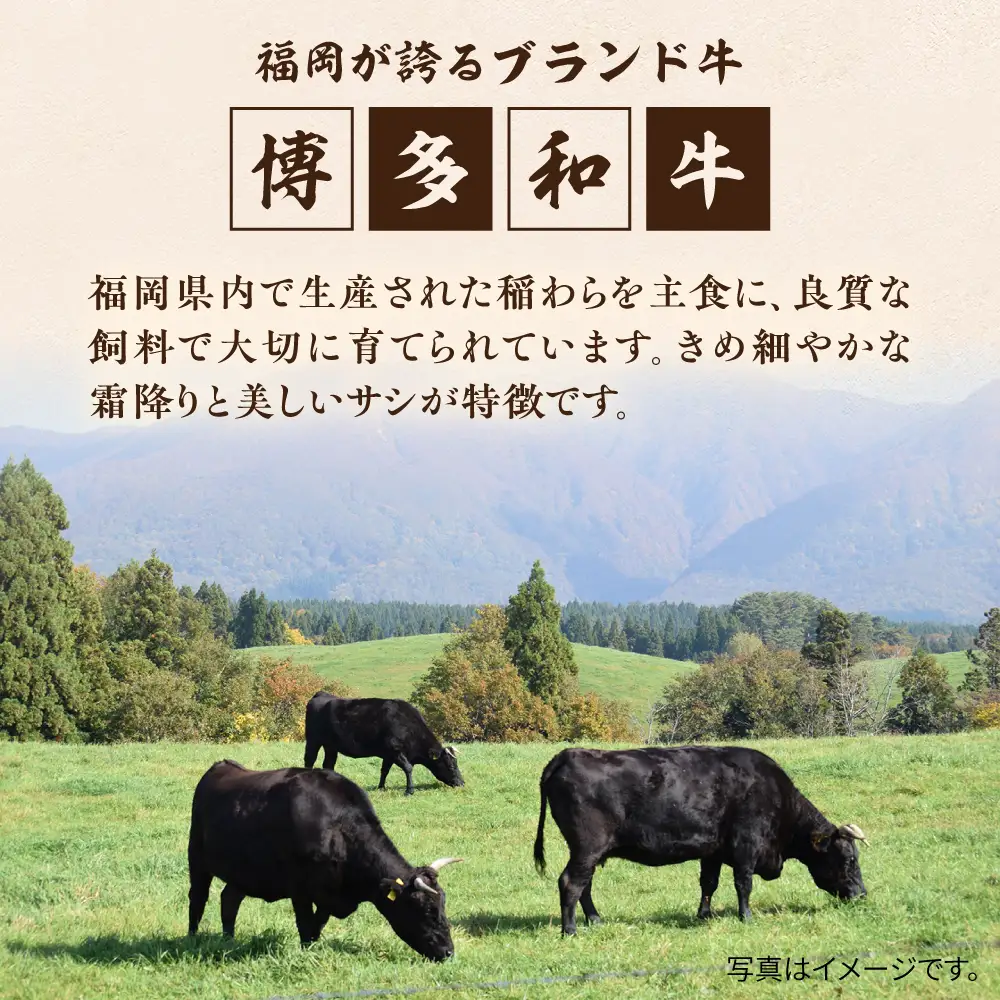 博多和牛 サーロイン ステーキ 200g×3枚《糸島》【ヒサダヤフーズ】[AIA001] ステーキ