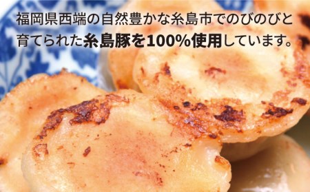 【お中元対象】元祖・糸島豚籠包 18個入り(6個×3箱) 糸島市 / 食工房たまひろ [ASA003]