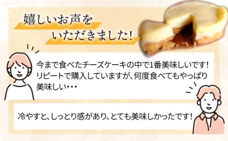 無添加 チーズ のいとしまチーズケーキ【 5個 セット】[ATA002]