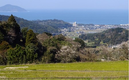 【 定期便 】福吉産 の お米 ＜6回コース＞ ヒノヒカリ 5kg  糸島市 / 二丈赤米産直センター [ABB013] 米 ひのひかり