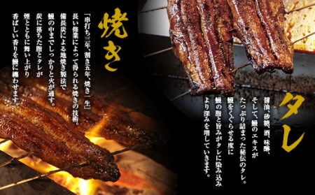 うなぎ 蒲焼 2尾 と自家製 うなぎ の しぐれ煮 100gのセット