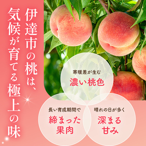 【2026年出荷分先行予約】福島県産 おどろき 約2kg (5～8玉) 農業生産法人種まきうさぎ株式会社 固め 固い 伊達の桃 桃 フルーツ 果物 もも モモ momo F20C-496