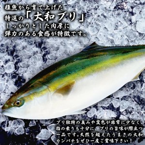 【大和ブリ】半身(ﾌｨﾚ)約1kg×2枚かぶと付き N072-YD0190
