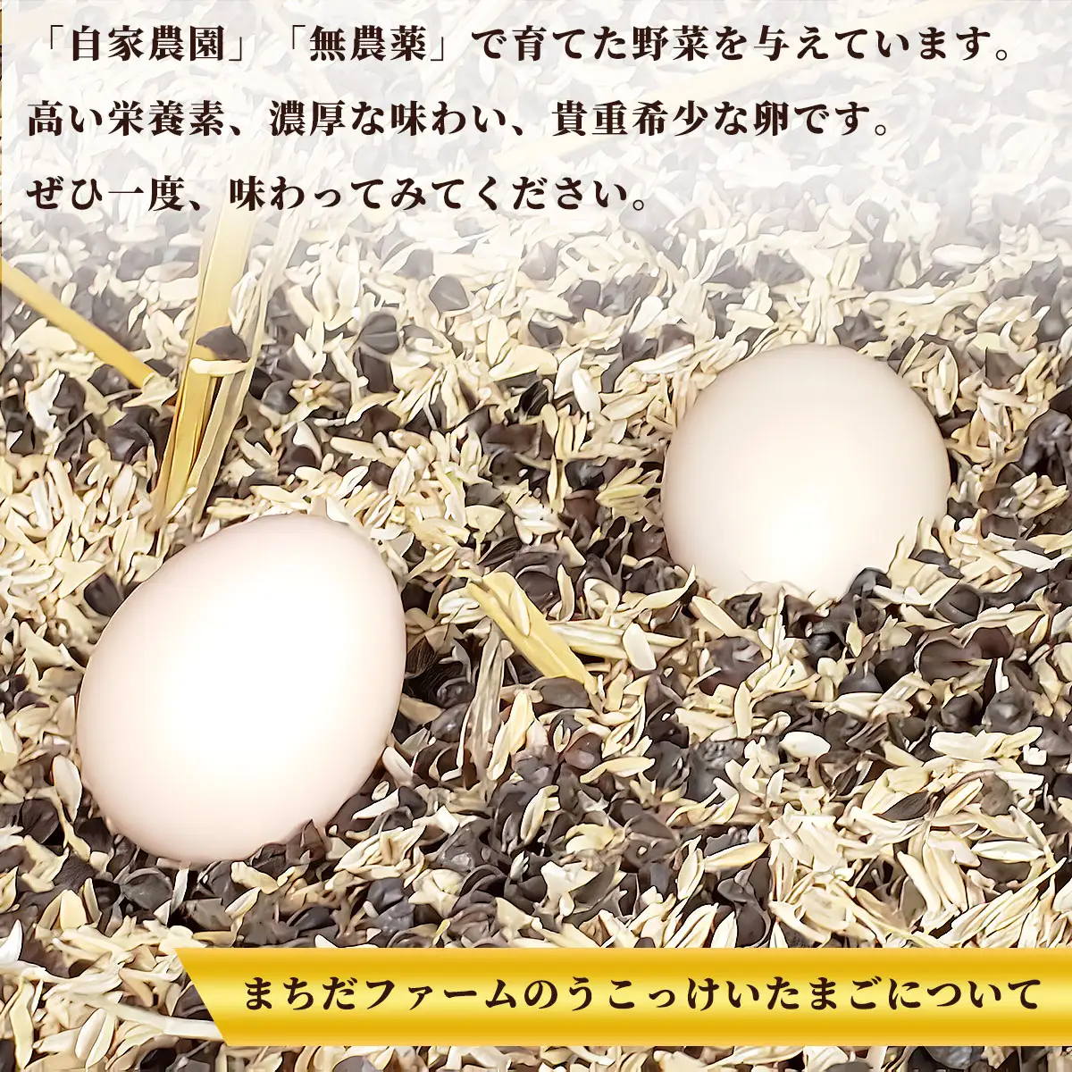 平飼い 東京うこっけいのたまご １４個＋２個 ANAI001