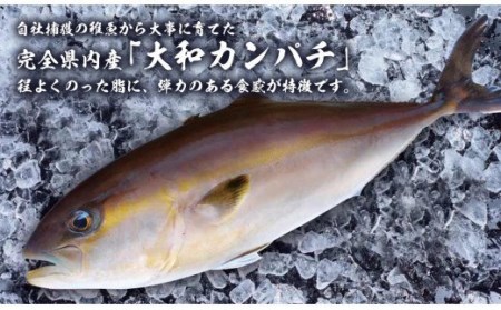 大和ｶﾝﾊﾟﾁ半身(ﾌｨﾚ)約1.2kg～1.5kg×2枚かぶと付き N072-YD0192