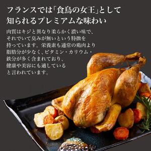 奄美 黒ほろほろ鳥  『与論の風プレミアムギフトセット』