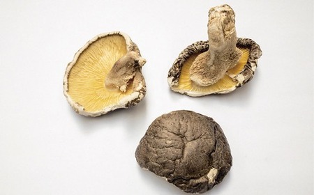 【訳あり】お徳用厚肉椎茸 500g （250g×2袋） 干し椎茸 どんこ