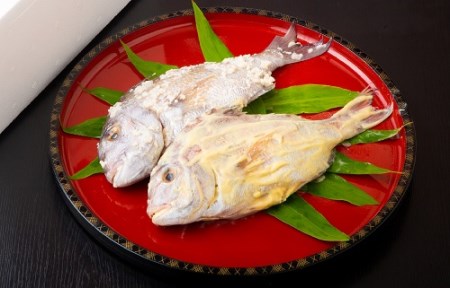塩飽鯛 Aセット【A-73】