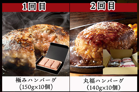 「全6回定期便」唐津大人気ハンバーグ定期便 黒毛和牛 手ごね 佐賀牛 食べ比べ