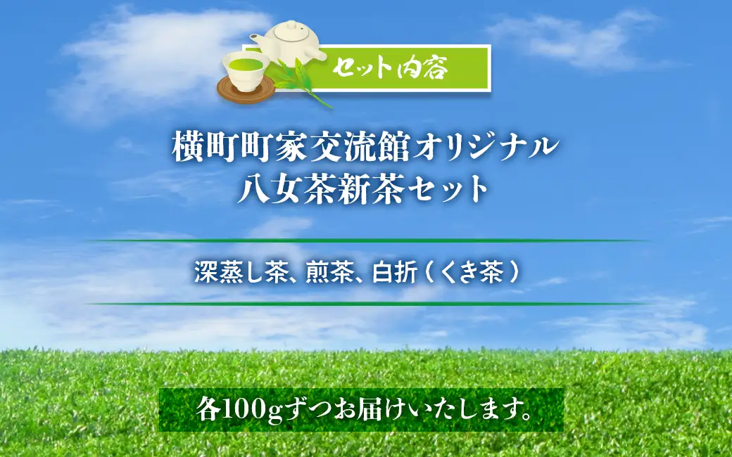 奥八女の茶葉を使った 三種の八女茶新茶セット 合計300g【2026年5月以降発送】 深蒸し茶 煎茶 白折 茎茶 日本茶 お茶 緑茶 新茶 福岡県 八女市 072-093