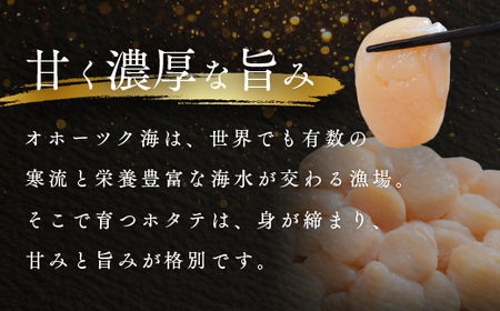 オホーツク海産ホタテ貝柱1kg ( ふるさと納税 北海道産 ほたて ホタテ貝柱 刺身 冷凍 貝 海鮮 お取り寄せグルメ 北海道 遠軽町 ) en01-00069