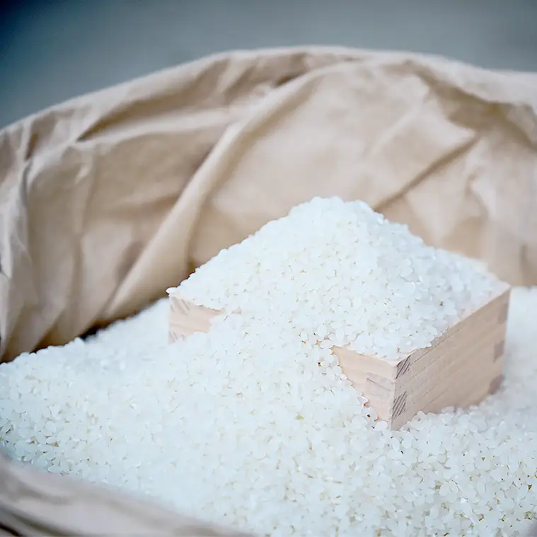 令和7年産 筑波山麓・羽鳥の沢水米 コシヒカリ 5kg 米 お米 コメ 精米 白米 桜川市 茨城県 [BN002sa]