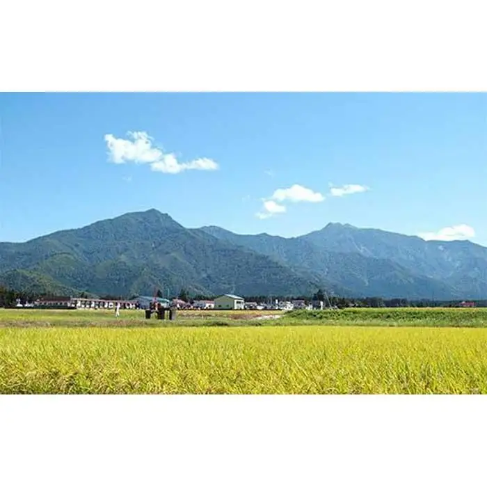 【令和7年産】【定期便】南魚沼産塩沢コシヒカリ【従来品種】（特別栽培米８割減農薬）精米２ｋｇ×全３回
