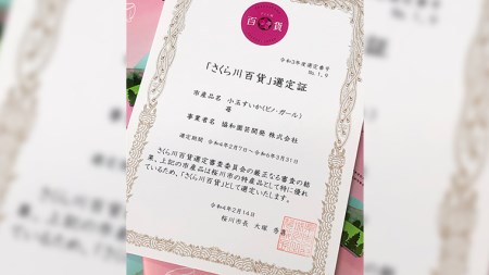 こだまスイカ ピノ・ガール（１玉） 【2026年5月中旬より発送開始】  [BC029sa]