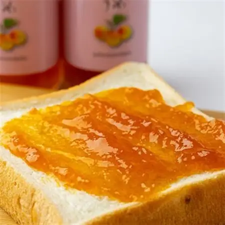 爽やかな朝のスタートに梅のピュアな香りと酸味の効いた【梅ジャム】　180g 2本セット_惣菜・加工品 ジャム 缶詰・瓶詰 _【1274510】