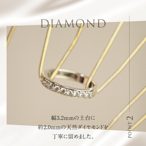 Pt900 0.5ctUP 天然ダイヤモンド　ハーフエタニティリング リング レディース Pt900 0.5ctUP 天然ダイヤモンド ハーフエタニティリング 鑑別書付 保証書付 ジュエリーケース付 プレゼント [h170]