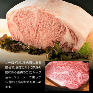 博多和牛A5サーロインステーキ【厳選部位】500g（250g×2枚）_KMP0203