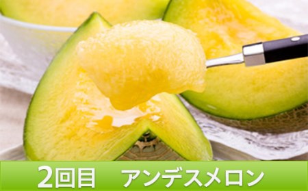 《2026年発送先行予約》やまがたメロン定期便(全3回) FSY-0104