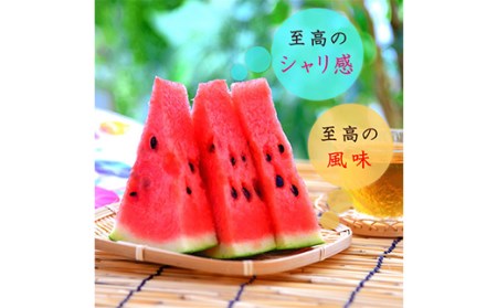 《2026年産先行受付》山形県産【すいか・東部限定】 2L 約6kg スイカ すいか 西瓜 デザート フルーツ 果物 くだもの 果実 食品 山形県 FSY-0012