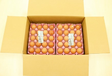 卵 赤たまご 120個 卵【北海道・沖縄・離島配送不可】