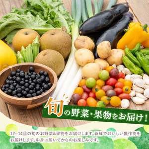 《定期便・全３回》野菜と果物旬の詰め合わせ(12～14品目) 国産 九州産 鹿児島県産 野菜 やさい果物 くだもの フルーツ デザート 詰め合わせ お楽しみ セット 旬【鹿児島県経済農業協同組合連合会】_y361