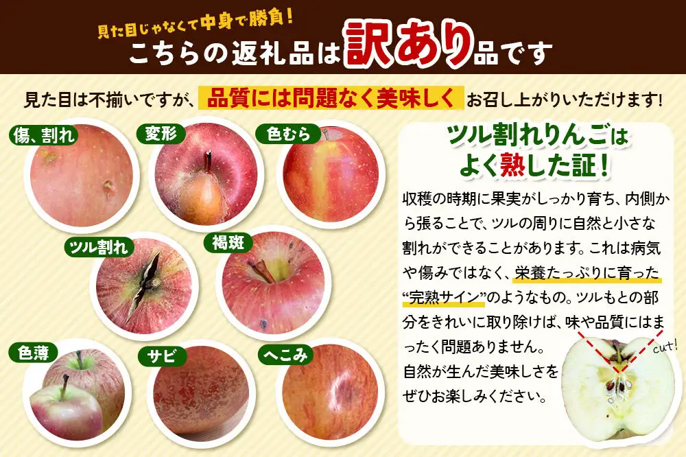 【26年12月発送】りんご 家庭用 訳あり サンふじ・王林 詰め合わせ 約5kg