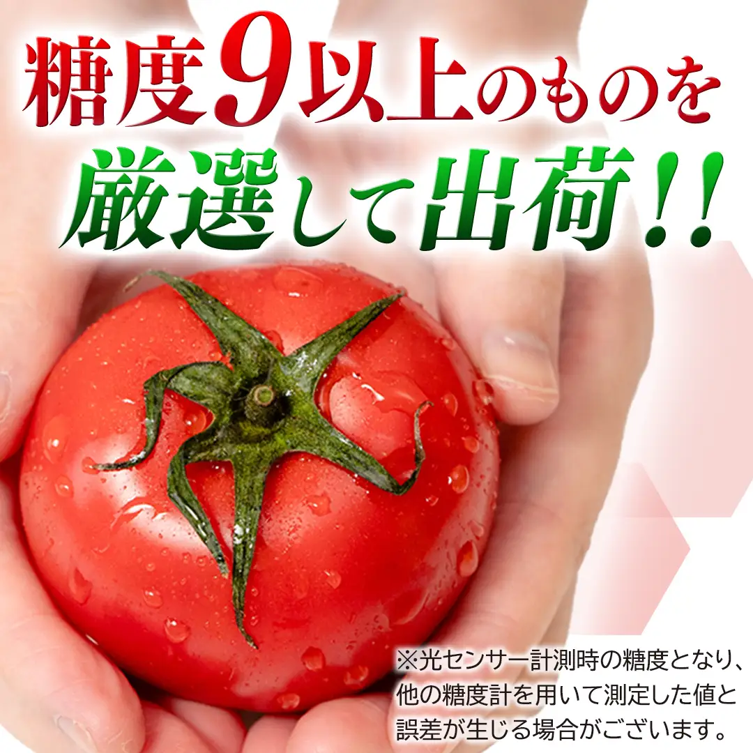 【ふるなびWEEK対象】糖度9度以上 スーパーフルーツトマト てるて姫 中箱 約1.2kg × 1箱 【12～15玉/1箱】  [BC033sa]