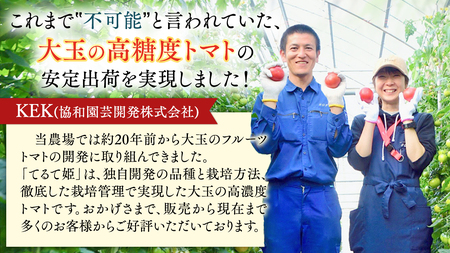 《 テレビで紹介 》【 2026年収穫分 先行予約 】 糖度9度以上 スーパーフルーツトマト てるて姫 中箱 約1.2kg × 2箱 【12?15玉/1箱】   [BC034sa]