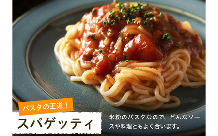 G18-04 グルテンフリー ライスパスタ 食べ比べ 16袋 L1 米粉パスタ 玄米