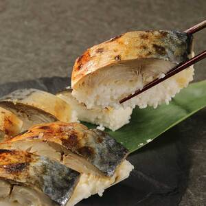 【定期便】土佐の焼きサバ寿司（１本×６回発送）７切れ 総量約250g～300g 【J00008】