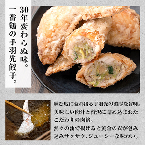 A0-293 手羽先餃子 (10本)【一番鶏】