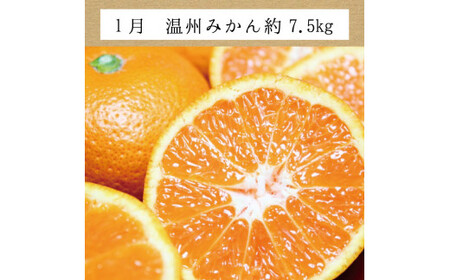 【3回定期便】訳ありみかんの定期便 温州みかん・不知火・清見オレンジ【tkb113】