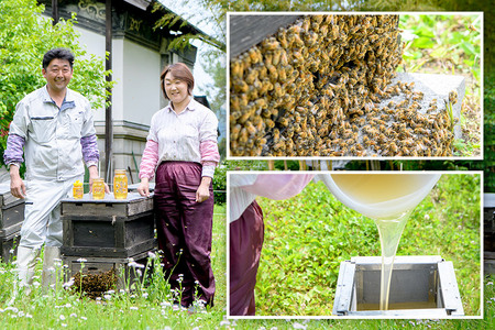 秋田県産はちみつ 百花 500g×3本 合計1.5kg 化粧箱入り 田沢湖養蜂場