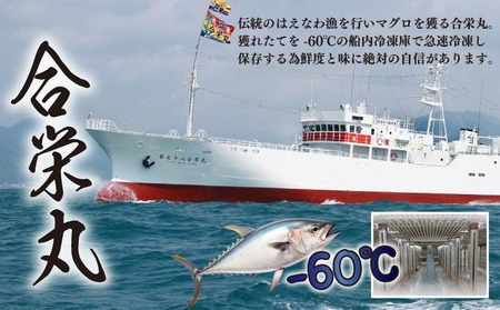 【定期便/計5回】天然本マグロ（各600g） 【まぐろ】ge009