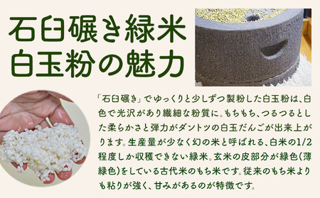 きくち村の緑米白玉粉 120g×6袋 合計720g 自然派きくち村(有限会社渡辺商店)《30日以内に出荷予定(土日祝除く)》熊本県 菊池市 白玉粉 自然栽培の緑米使用 白玉 粉末 もち米 製菓用 和菓子 熊本県産 九州産 国産