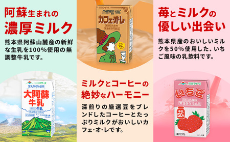 【6ヶ月定期便】常温保存可能 らくのうマザーズ 詰め合わせ セット合同会社たべたせいか《申込月の翌月から出荷開始》熊本県 菊池市 カフェオレ いちご ミルクココア 大阿蘇牛乳 コーヒー おいしいミルクバニラ 乳飲料 乳性飲料 らくのうマザーズ ドリンク