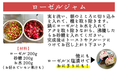 【ハーブティー】ローゼルティ 30g×3袋入り 先行受付 ハーブ ga-0004