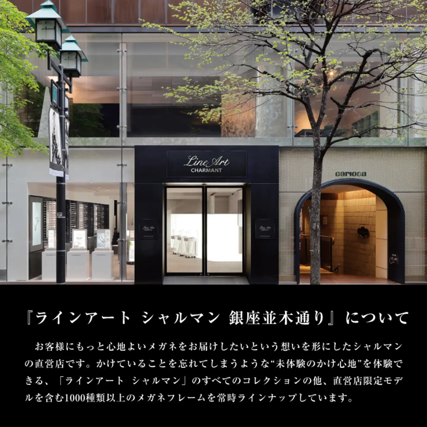 ラインアート シャルマン 銀座並木通り 眼鏡お仕立て券 3万円相当