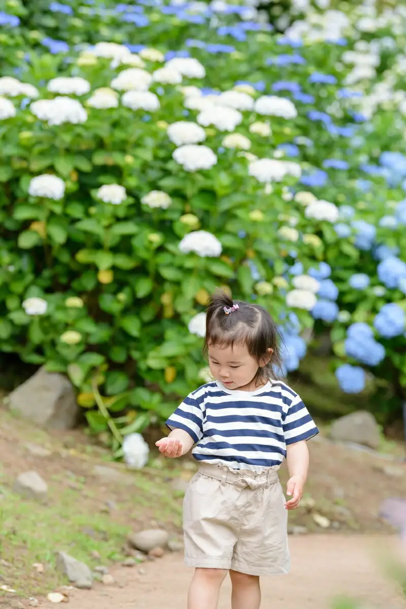 小田原城撮影（60分撮影/写真データ付き）【小田原城 撮影 60分 写真カメラマン 思い出 同行撮影 事前予約 平日 時間内撮影し放題 小田原市内 記念 予約制 古民家 記念撮影 神奈川県 小田原市 城 城】